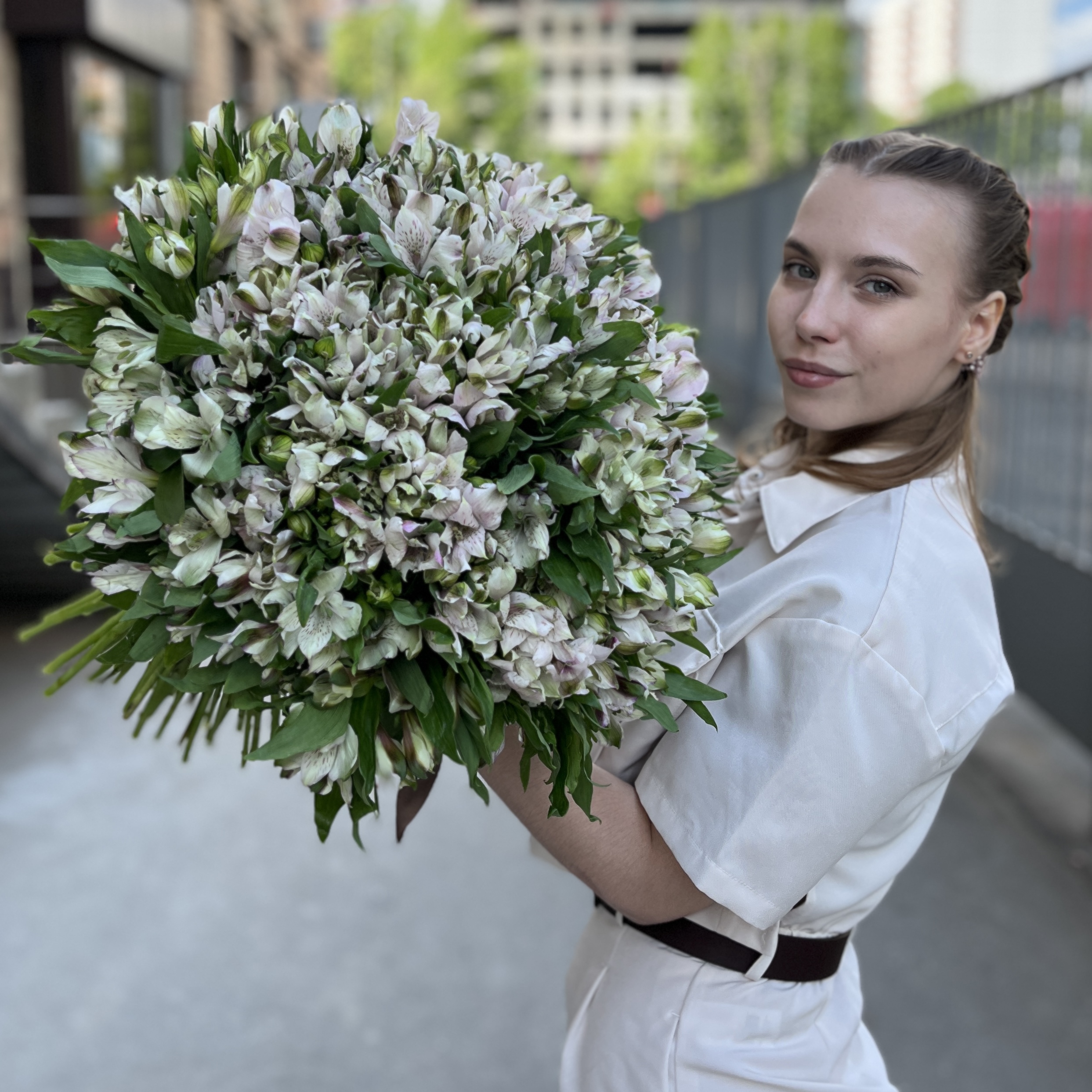 101 бело-фиолетовая альстромерия